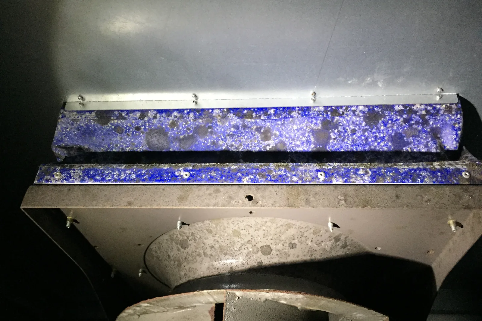 Mould remediation and air quality testing